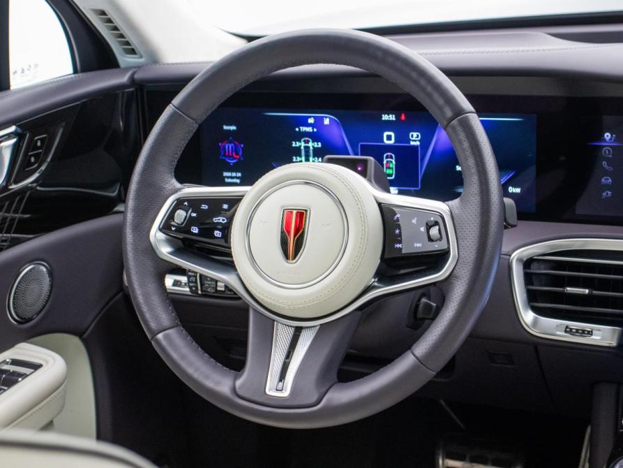 Hongqi E-HS9 Москва  - изображение 13