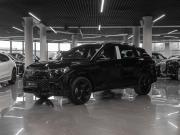 Volkswagen Tiguan III (China Market) Москва  - изображение 32