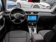 Skoda Octavia III (A7) Сочи  - изображение 30