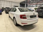 Skoda Octavia III (A7) Казань  - изображение 30