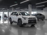 Toyota RAV4 VI (XA60) Москва  - изображение 27