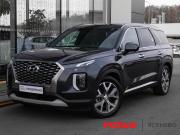 Hyundai Palisade I Москва  - изображение 24