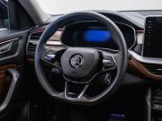Skoda Kodiaq I Рестайлинг Москва  - изображение 38