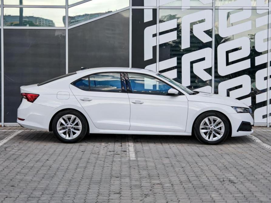 Skoda Octavia IV (A8) Краснодар  - изображение 5