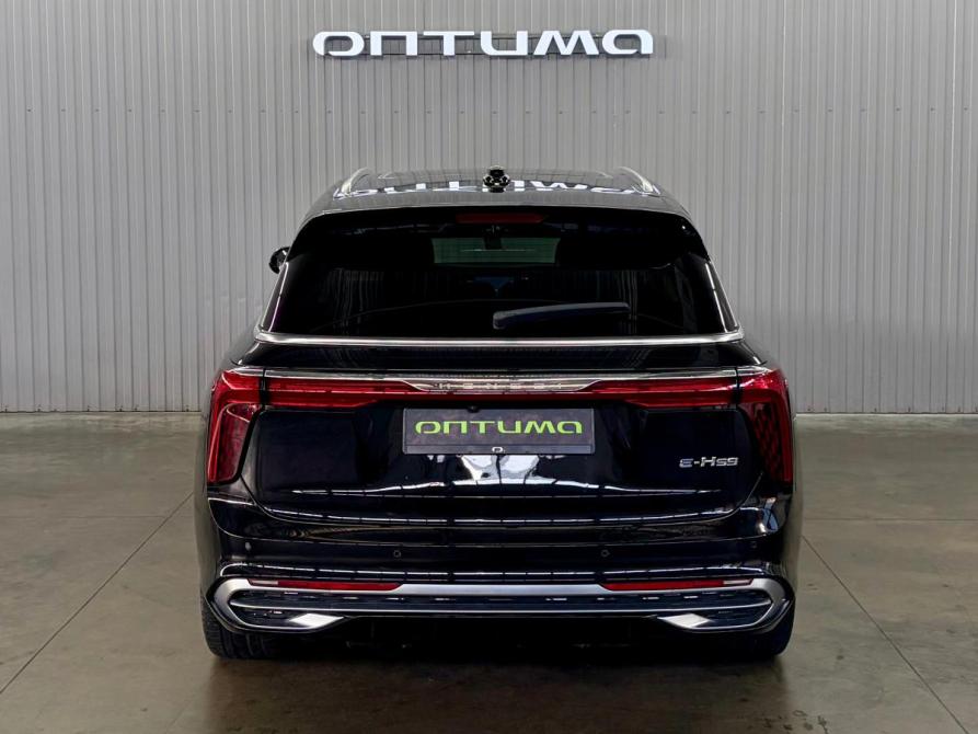 Hongqi E-HS9 Краснодар  - изображение 6