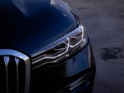 BMW X7 I (G07) Москва  - изображение 42