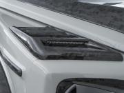 Mercedes-Benz G-Класс AMG II (W463) Москва  - изображение 44