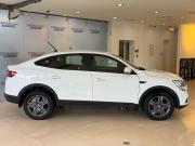 Renault Arkana I Москва  - изображение 21
