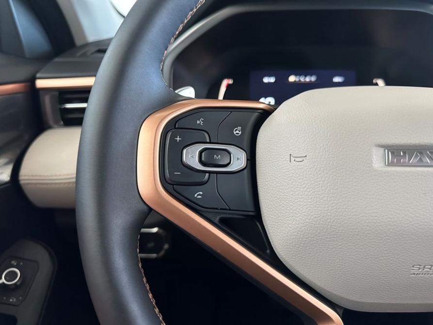 Haval Jolion I Рестайлинг Москва  - изображение 16