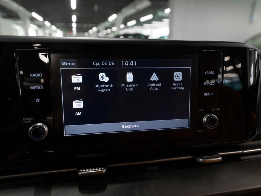 Kia Carnival IV Москва  - изображение 20