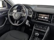 Skoda Kodiaq I Москва  - изображение 54