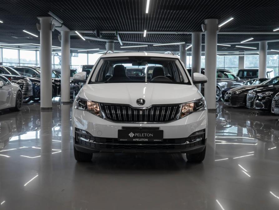Skoda Kamiq I (China Market) Москва  - изображение 3