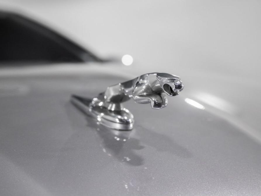 Jaguar X-Type I Иркутск  - изображение 23