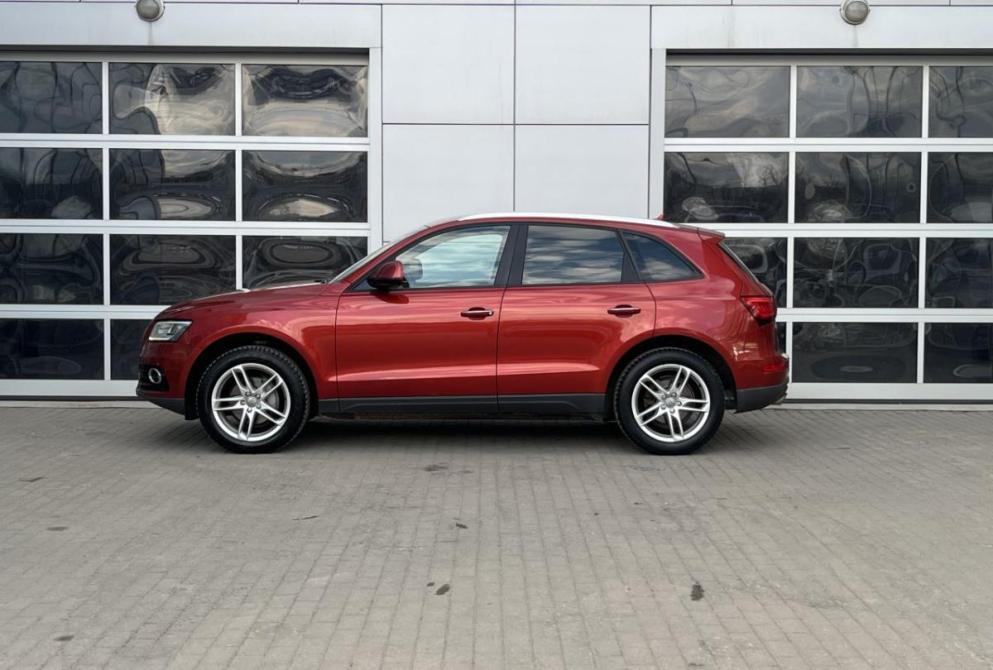 Audi Q5 I (8R) Рестайлинг Владимир  - изображение 4