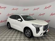 Haval Jolion I Псков  - изображение 30