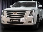 Cadillac Escalade IV Тюмень  - изображение 48