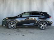 Lexus NX I Рестайлинг Киров  - изображение 40
