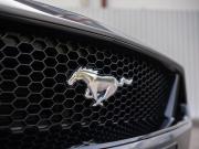 Ford Mustang VI Рестайлинг Сочи  - изображение 36