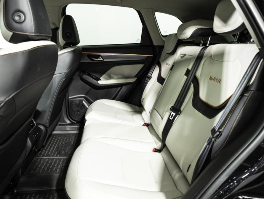 Haval Jolion I Санкт-Петербург  - изображение 11