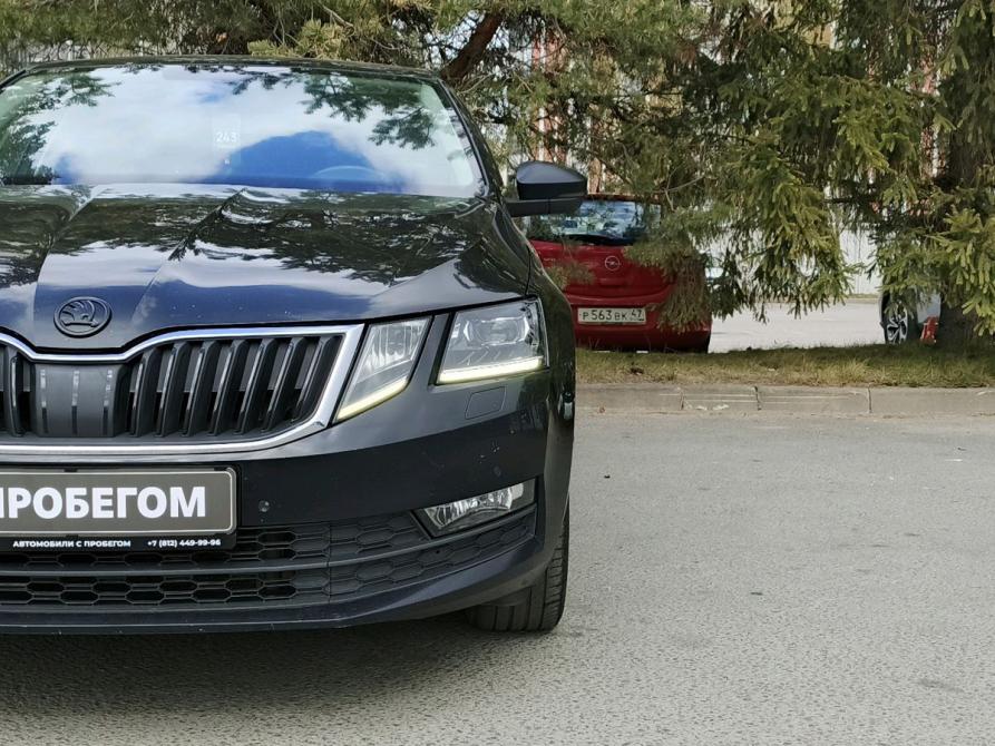 Skoda Octavia III (A7) Рестайлинг Санкт-Петербург  - изображение 3
