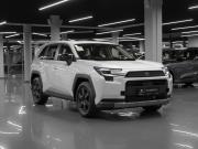 Toyota RAV4 VI (XA60) Москва  - изображение 31
