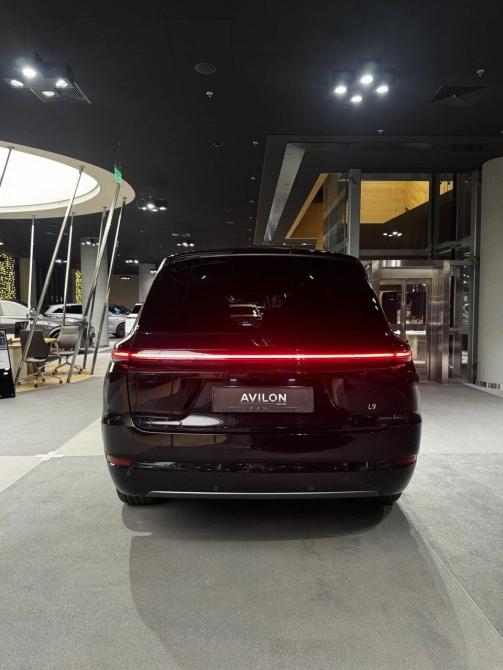 Li Auto (Lixiang) L9 I Рестайлинг Москва  - изображение 6