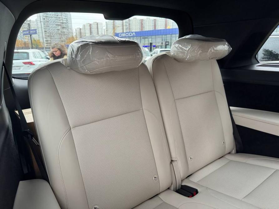 Li Auto (Lixiang) L9 I Рестайлинг Москва  - изображение 17