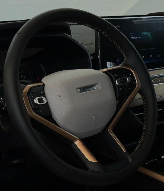 Haval Jolion I Рестайлинг Москва  - изображение 13