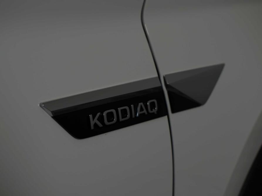 Skoda Kodiaq I Рестайлинг Москва  - изображение 35