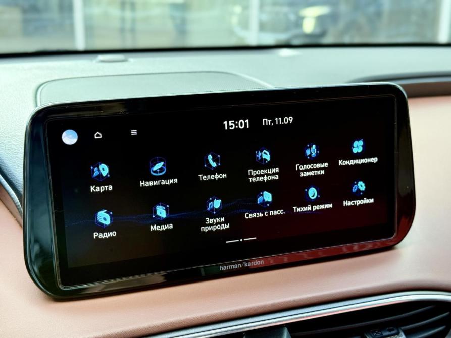 Hyundai Santa Fe IV Воронеж  - изображение 18