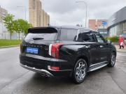 Hyundai Palisade I Санкт-Петербург  - изображение 30