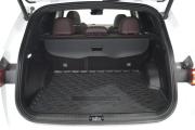 Geely Monjaro I Сургут  - изображение 49