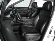 Hyundai Santa Fe IV Рестайлинг Ростов-на-Дону  - изображение 32