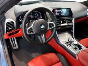BMW 8 серии II (G14/G15/G16) Калининград  - изображение 51