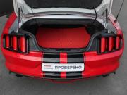 Ford Mustang VI Москва  - изображение 34