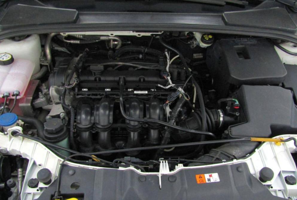 Ford Focus III Екатеринбург  - изображение 25