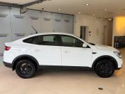 Renault Arkana I Москва  - изображение 21