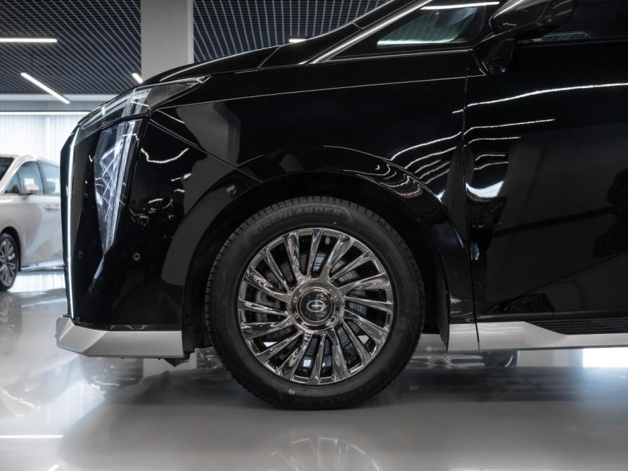 GAC M8 Москва  - изображение 33