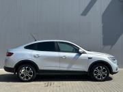 Renault Arkana I Тамбов  - изображение 29