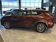 Lexus NX I Тюмень  - изображение 32