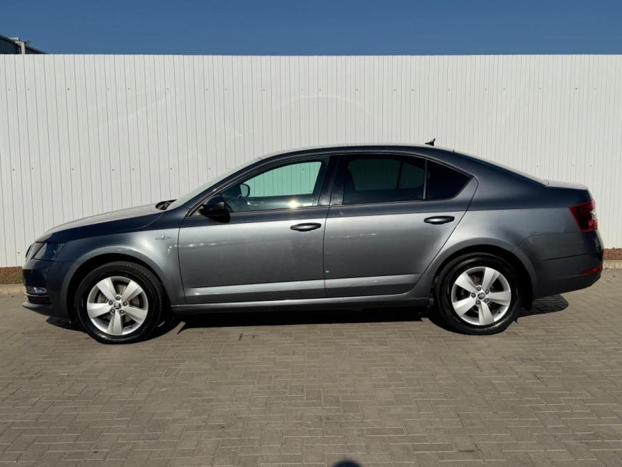 Skoda Octavia III (A7) Рестайлинг Ростов-на-Дону  - изображение 6
