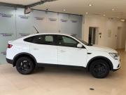 Renault Arkana I Москва  - изображение 21