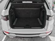 Land Rover Range Rover Evoque I Екатеринбург  - изображение 33