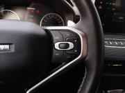 Haval Jolion I Рестайлинг Москва  - изображение 34