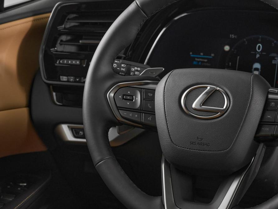 Lexus RX V Москва  - изображение 12