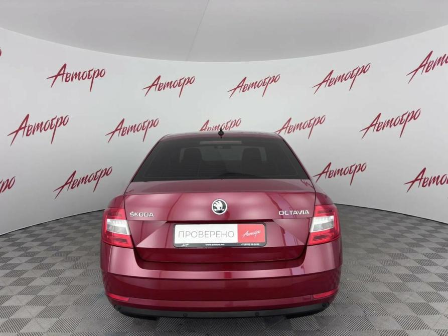Skoda Octavia III (A7) Рестайлинг Псков  - изображение 4