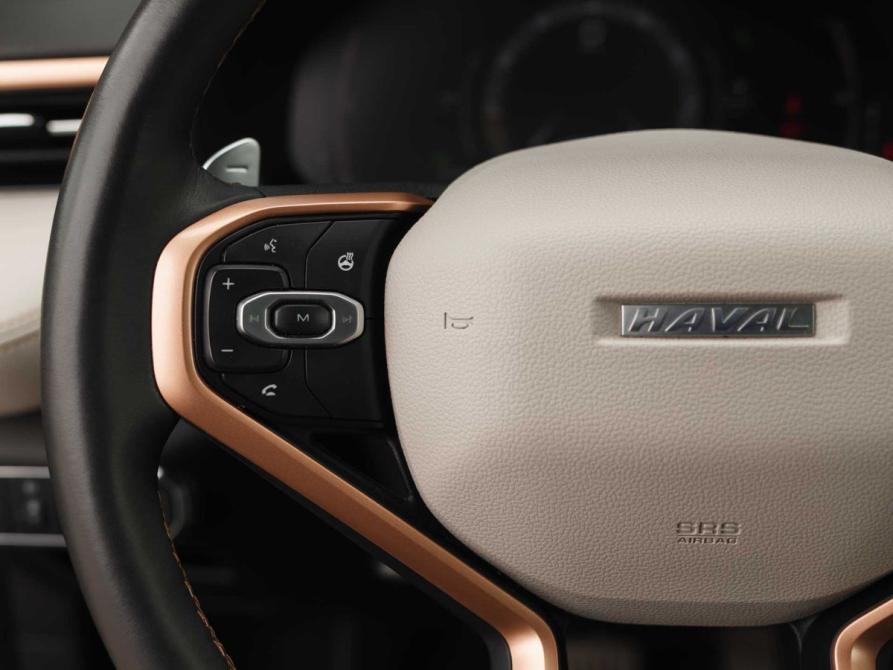 Haval Jolion I Новосибирск  - изображение 12