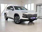 JETOUR DASHING I Волгоград  - изображение 38