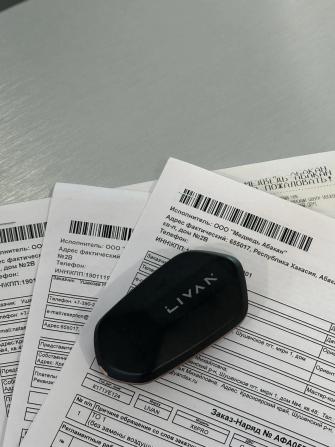 Livan X6 Pro с пробегом 2023 года, цена 1 570 000 рублей, 19034 км, внедорожник, Автокод Объявления