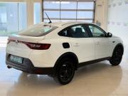 Renault Arkana I Москва  - изображение 24